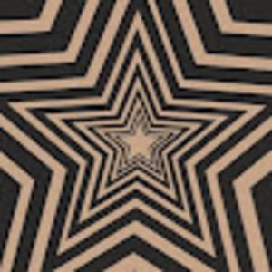 Meet your Posher, Joy-mai